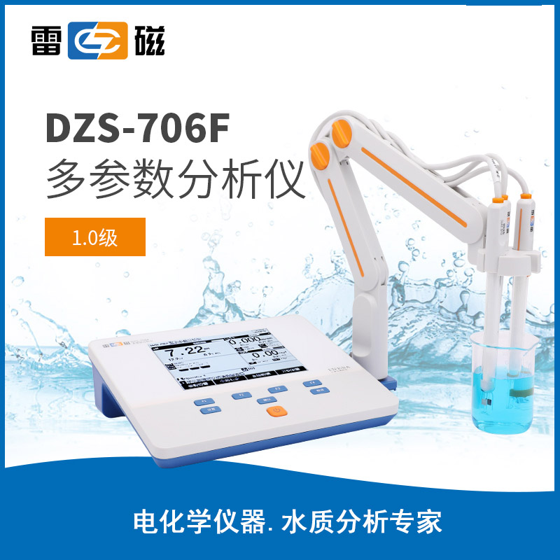 DZS-706F 型多參數分析儀